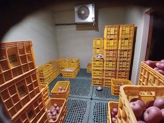 알 수 없음님의 자유주제 · 자유게시판 작성글 사진