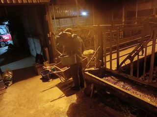 알 수 없음님의 자유주제 · 자유게시판 작성글 사진