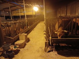 알 수 없음님의 자유주제 · 사진전 작성글 사진