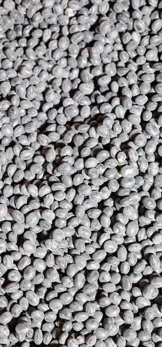 하이킥님의 작성글 사진