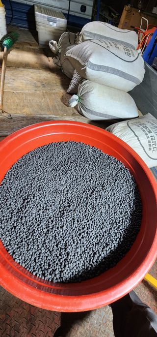 하이킥님의 작성글 사진