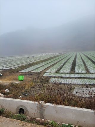 농사꾼 단비님의 자유주제 · 자유게시판 작성글 사진