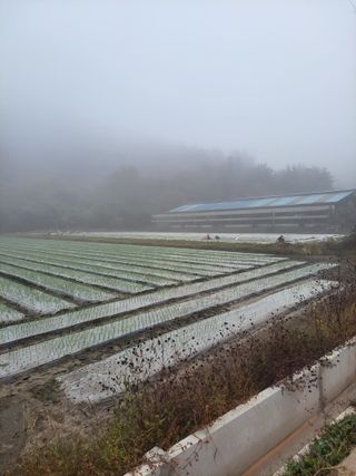 농사꾼 단비님의 자유주제 · 자유게시판 작성글 사진