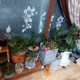 권세민님의 12월 내 작물 자랑하기 · 참여글 작성글 사진