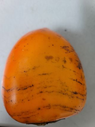 보리나라/하동대봉님의 감 · 병해충상담 작성글 사진