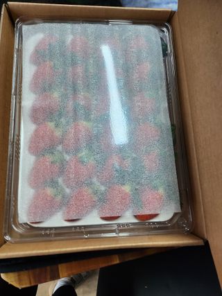 산청금실딸기농부입니님의 농사, 무엇이든 물어보세요! · 참여글 작성글 사진