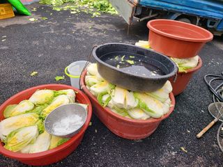 늘푸른농장님의 자유주제 · 자유게시판 작성글 사진