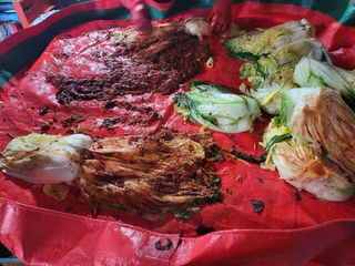 늘푸른농장님의 자유주제 · 자유게시판 작성글 사진