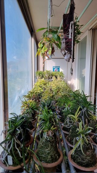 푸른꿈님의 기타작물 · 자유게시판 작성글 사진