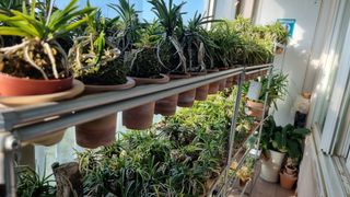 푸른꿈님의 기타작물 · 자유게시판 작성글 사진