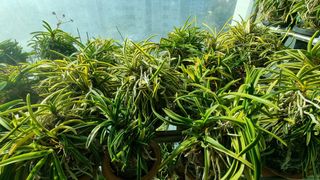 푸른꿈님의 기타작물 · 자유게시판 작성글 사진