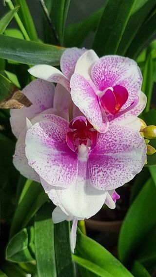 푸른꿈님의 12월 내 작물 자랑하기 · 참여글 작성글 사진