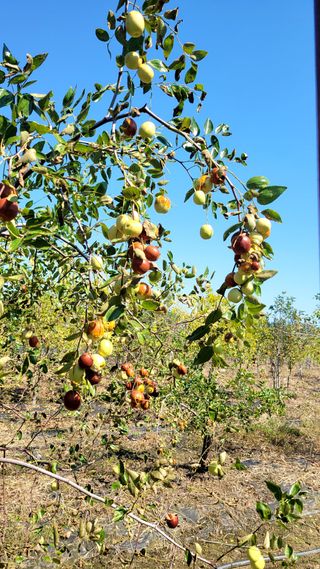 목대균님의 12월 내 작물 자랑하기 · 참여글 작성글 사진