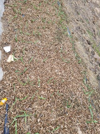 최남옥님의 자유주제 · 자유게시판 작성글 사진