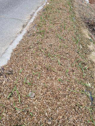 최남옥님의 자유주제 · 자유게시판 작성글 사진