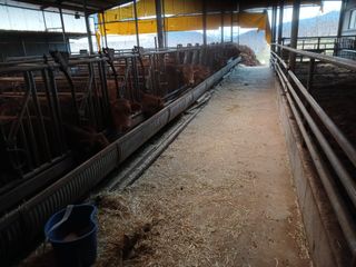 알 수 없음님의 우리동네 · 동네수다 작성글 사진