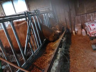 알 수 없음님의 우리동네 · 동네수다 작성글 사진