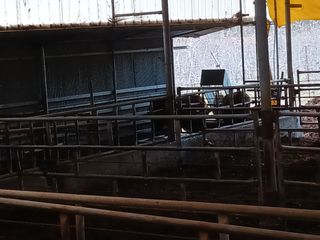 알 수 없음님의 우리동네 · 동네수다 작성글 사진