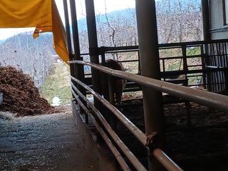 알 수 없음님의 우리동네 · 동네수다 작성글 사진