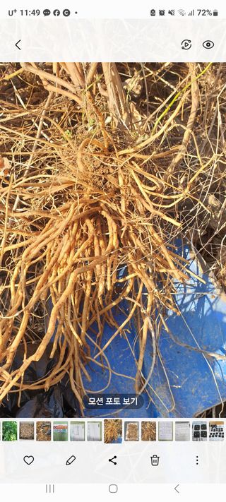 정찬영님의 자유주제 · 자유게시판 작성글 사진