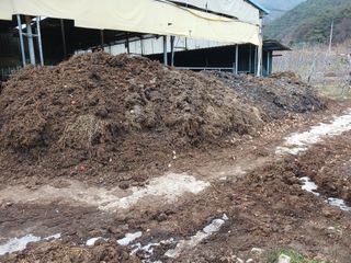 알 수 없음님의 우리동네 · 동네수다 작성글 사진