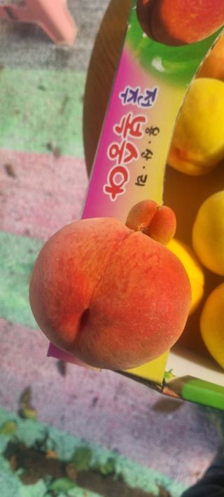 이창훈님의 12월 내 작물 자랑하기 · 참여글 작성글 사진