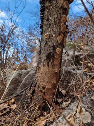 호랑이와인성이님의 자유주제 · 자유게시판 작성글 사진