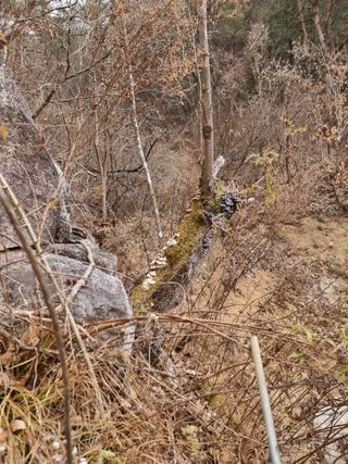 호랑이와인성이님의 자유주제 · 자유게시판 작성글 사진