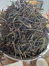 팜모닝 12월 내 작물 자랑하기·참여글 게시글 이미지