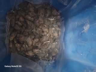 강화댁님의 자유주제 · 자유게시판 작성글 사진