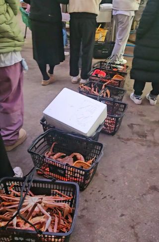 노가네수산님의 우리동네 · 동네정보 작성글 사진