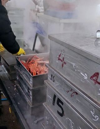 노가네수산님의 우리동네 · 동네정보 작성글 사진