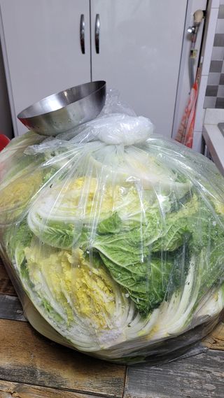 선영~~님의 자유주제 · 자유게시판 작성글 사진