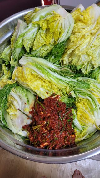 선영~~님의 자유주제 · 자유게시판 작성글 사진