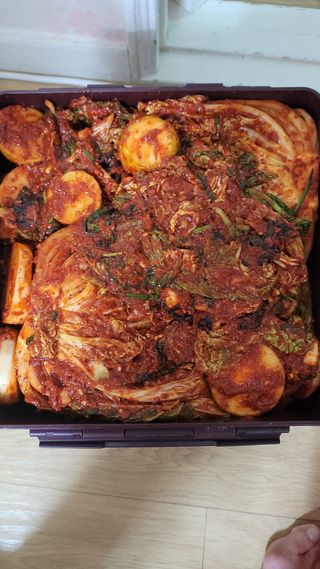 선영~~님의 자유주제 · 자유게시판 작성글 사진