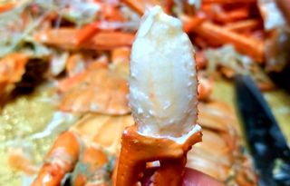 노가네수산님의 장터이야기 · 자유게시판 작성글 사진