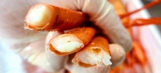 노가네수산님의 장터이야기 · 자유게시판 작성글 사진