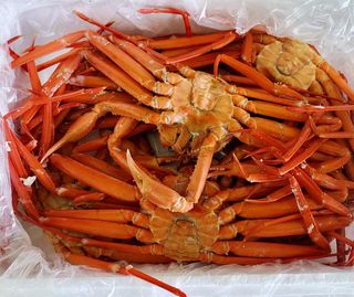 노가네수산님의 장터이야기 · 자유게시판 작성글 사진