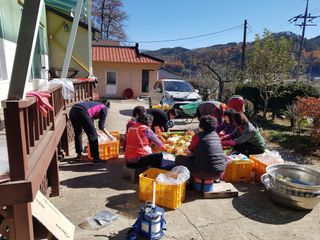 전인재님의 12월 내 작물 자랑하기 · 참여글 작성글 사진