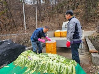 백용기님의 자유주제 · 자유게시판 작성글 사진