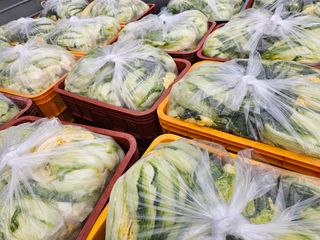 백용기님의 자유주제 · 자유게시판 작성글 사진