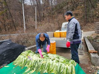 백용기님의 자유주제 · 자유게시판 작성글 사진