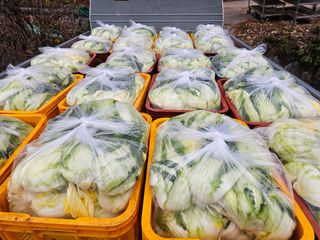 백용기님의 자유주제 · 자유게시판 작성글 사진