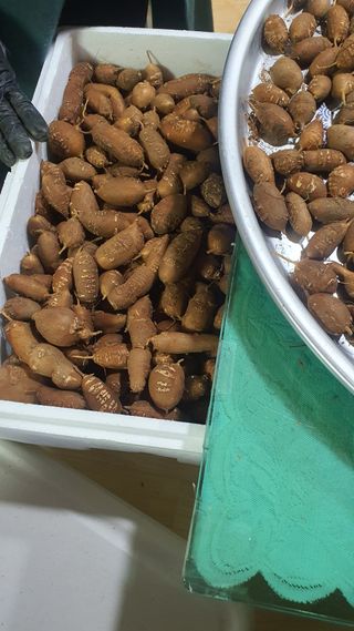 오다가다님의 작성글 사진