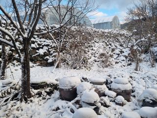 남원 윤형선님의 우리동네 · 동네자랑 작성글 사진