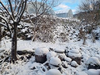 남원 윤형선님의 우리동네 · 동네자랑 작성글 사진