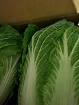 팜모닝 12월 내 작물 자랑하기·참여글 게시글 이미지