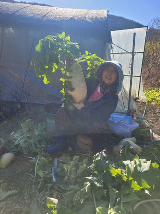 동길니우스님의 12월 내 작물 자랑하기 · 참여글 작성글 사진