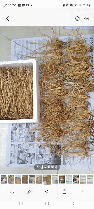 정찬영님의 12월 내 작물 자랑하기 · 참여글 작성글 사진