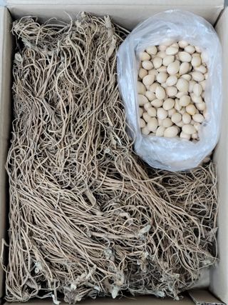 정찬영님의 12월 내 작물 자랑하기 · 참여글 작성글 사진